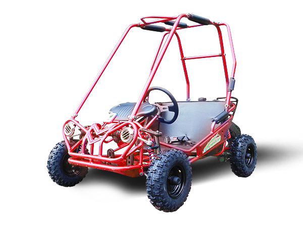 MINI XRS+ Kids Go Kart, 5.5hp Gas Engine, Dual Seats, Adjustable Pedals, Pull Start, Kids Ages 4-9