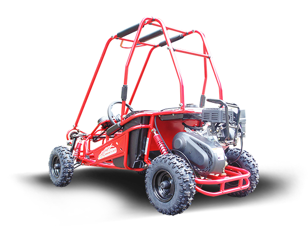 MINI XRS+ Kids Go Kart, 5.5hp Gas Engine, Dual Seats, Adjustable Pedals, Pull Start, Kids Ages 4-9