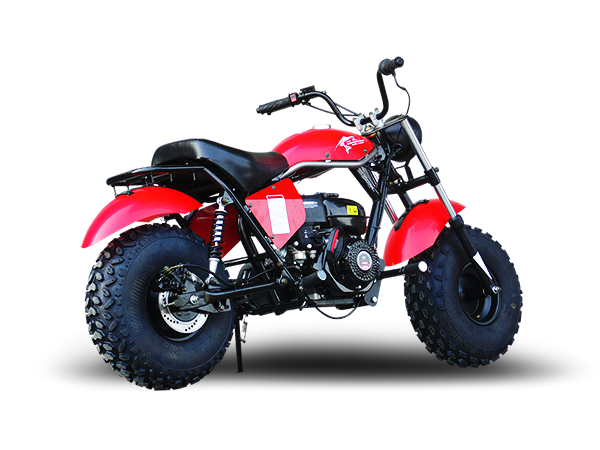MB200-2 Mini Bike, 196cc 6.5hp with Torque Converter, Rear Hydraulic Disc Brake
