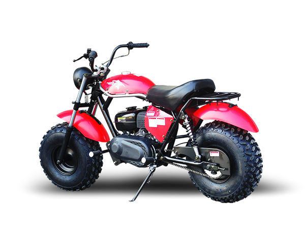 TrailMaster Monster Dog II Mini Bike, 196cc 6.5hp with Torque Converte ...