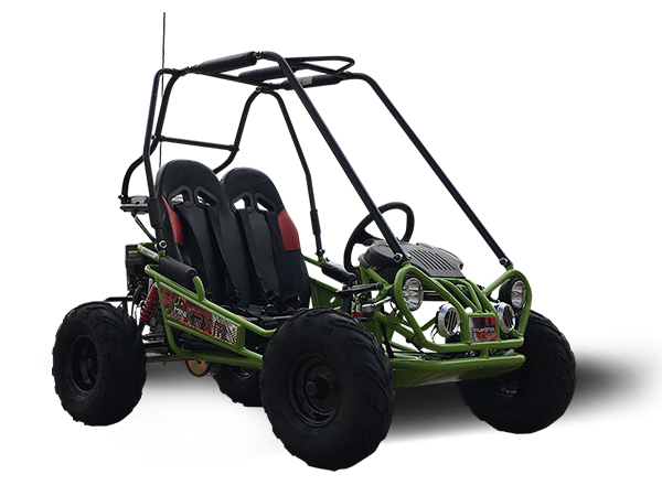 TrailMaster MINI XRX/R+ Go Kart, 5.5hp Parental Remote Control with Re ...