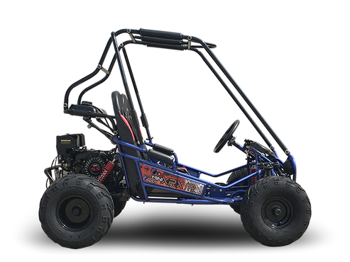 TrailMaster MINI XRX/R+ Go Kart, 5.5hp Parental Remote Control with Re ...