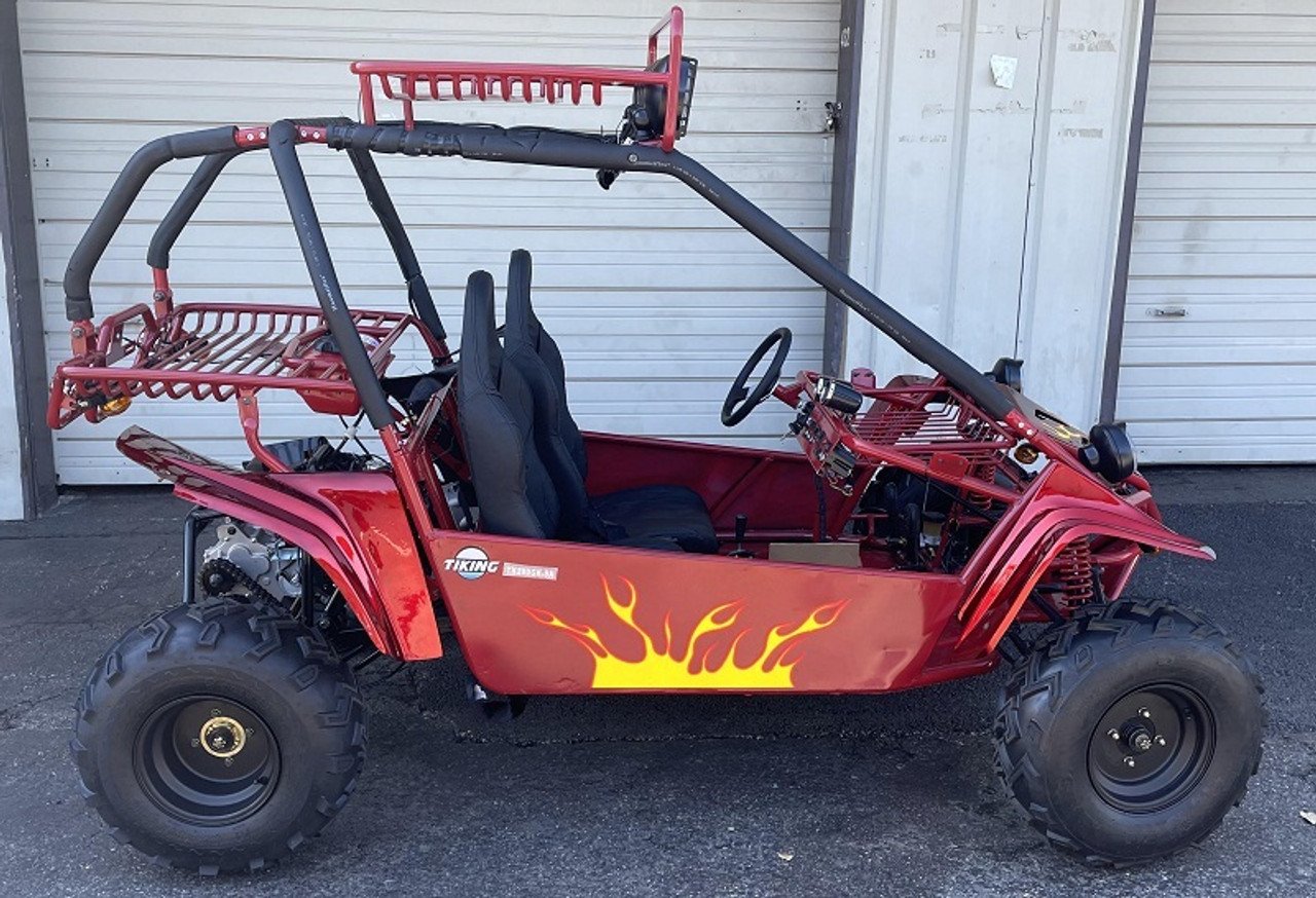 Commander 200 Buggy Go Kart, Electric Start, Automatic with Reverse, Ages 16 and up