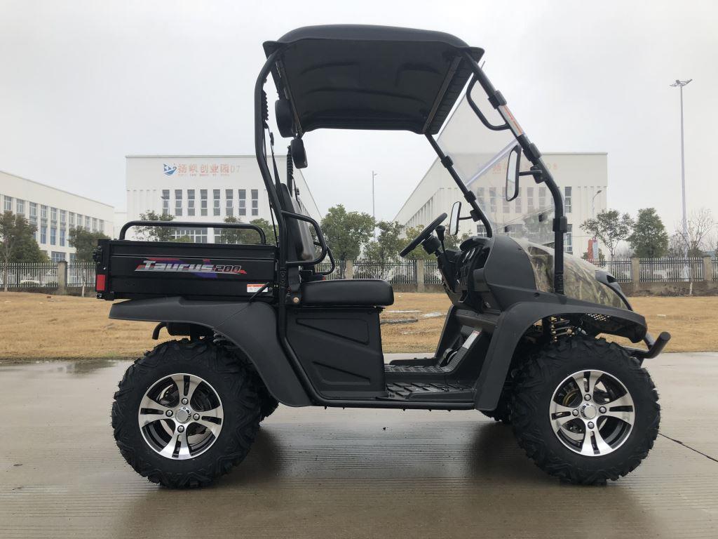 TrailMaster Taurus 200U Gas UTV High/Low Gear-Golf Cart Style UTV, Alloy Wheels