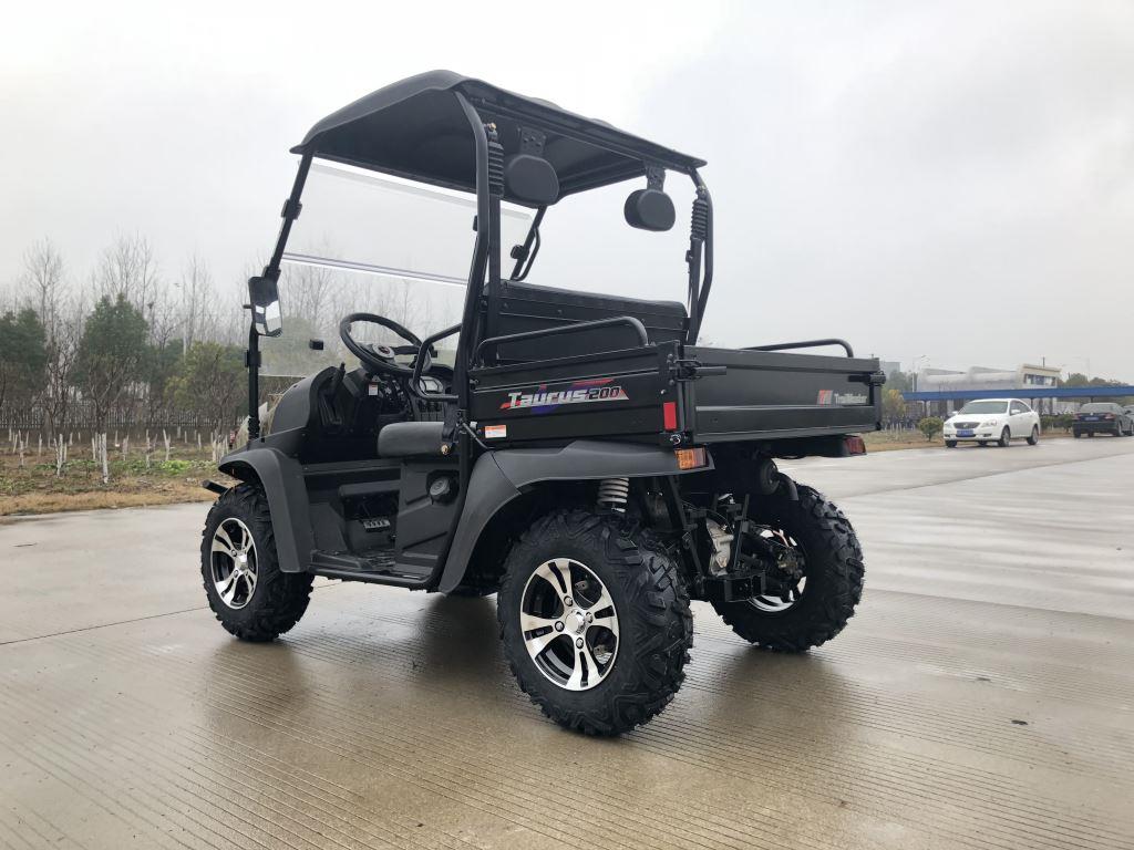 TrailMaster Taurus 200U Gas UTV High/Low Gear-Golf Cart Style UTV, Alloy Wheels