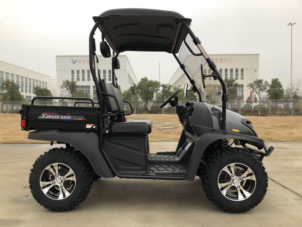 TrailMaster Taurus 200U Gas UTV High/Low Gear-Golf Cart Style UTV, Alloy Wheels