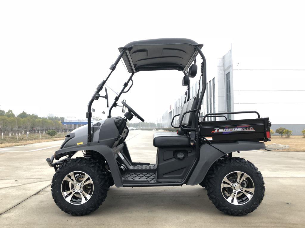 TrailMaster Taurus 200U Gas UTV High/Low Gear-Golf Cart Style UTV, Alloy Wheels