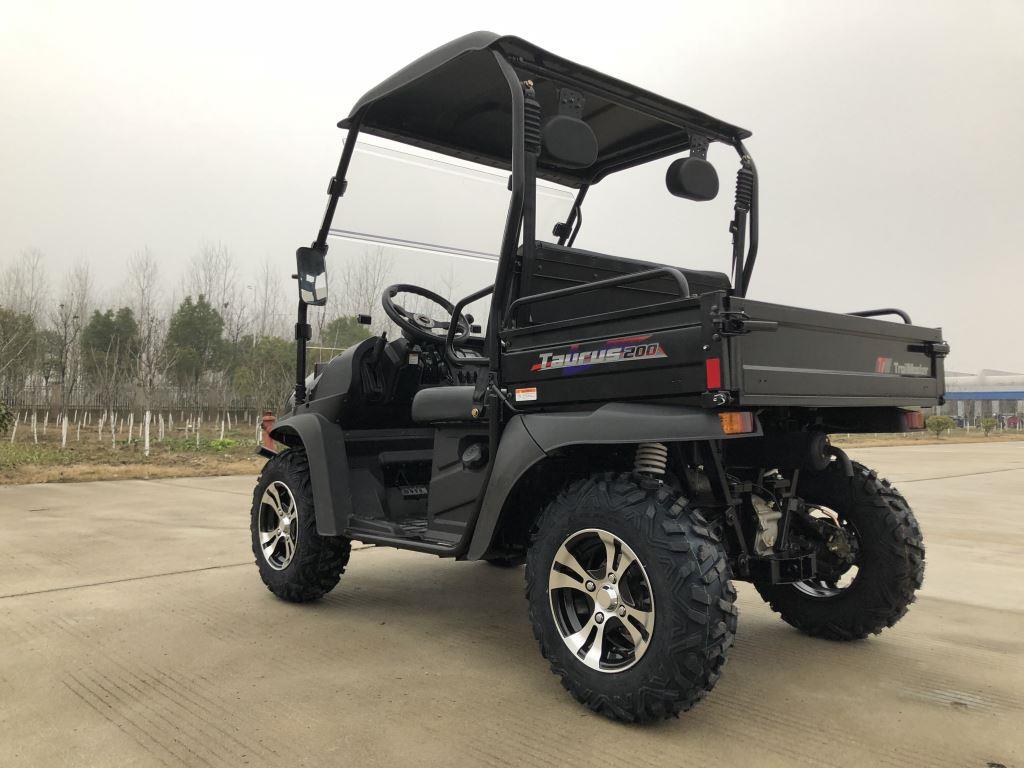 TrailMaster Taurus 200U Gas UTV High/Low Gear-Golf Cart Style UTV, Alloy Wheels