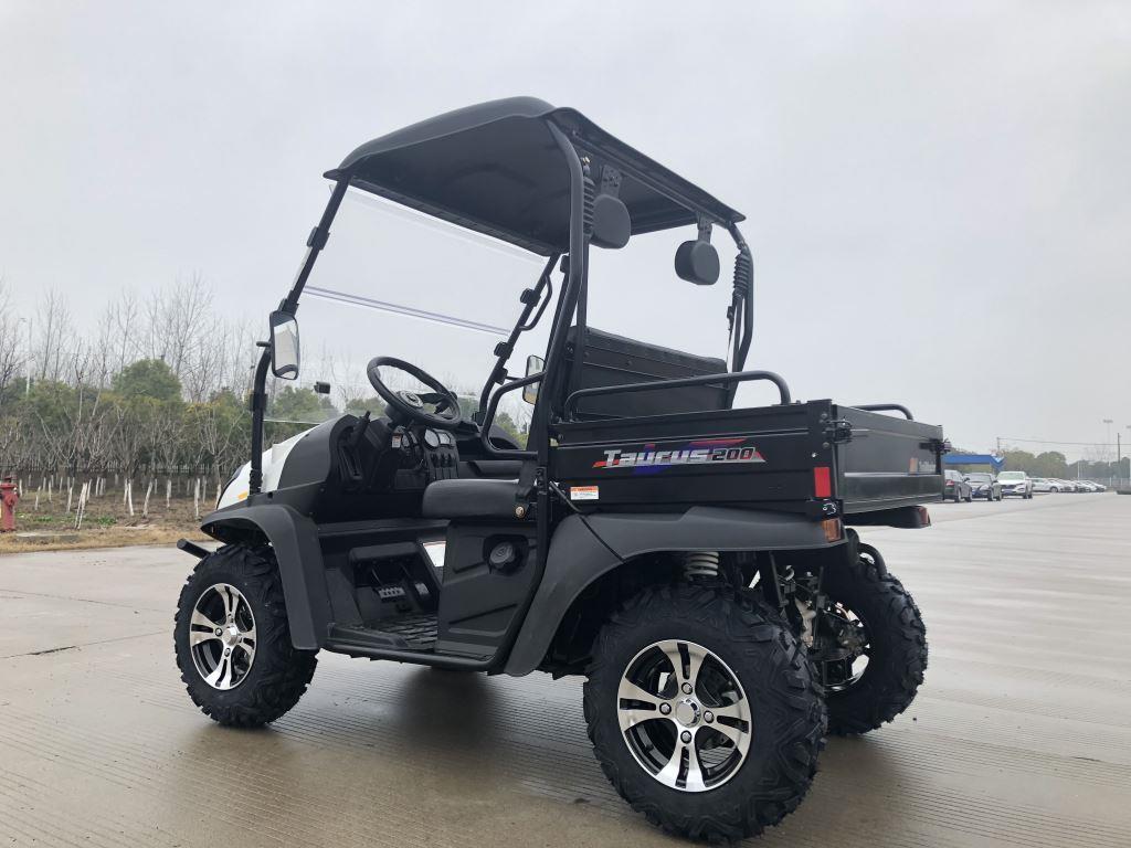 TrailMaster Taurus 200U Gas UTV High/Low Gear-Golf Cart Style UTV, Alloy Wheels