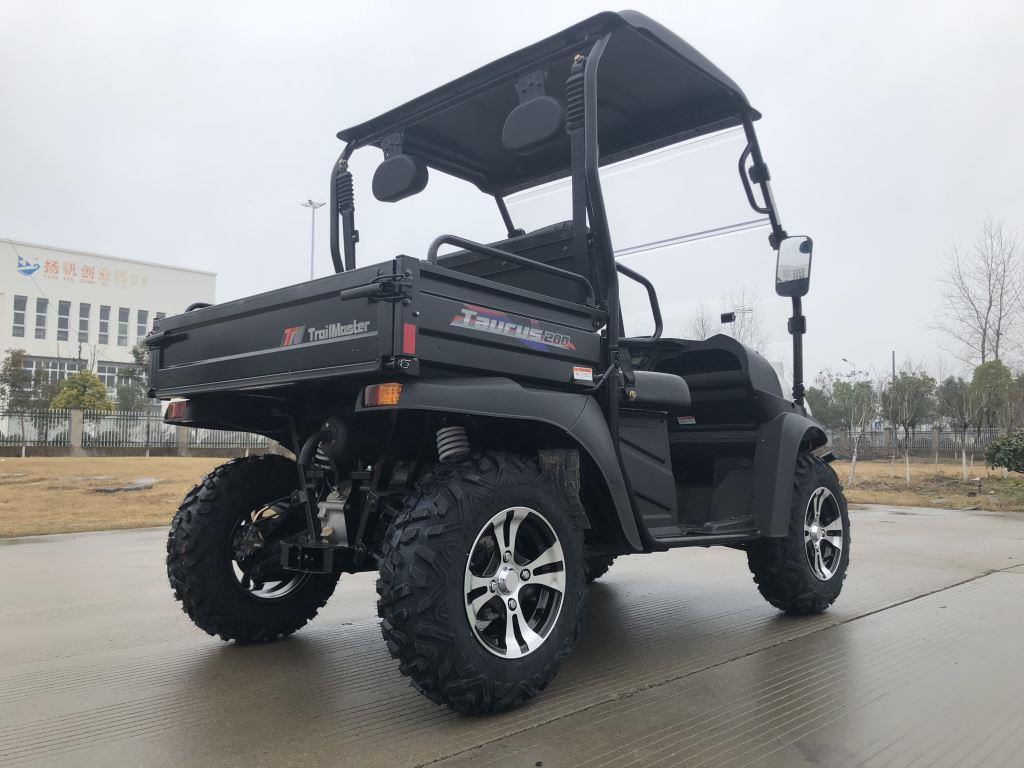 TrailMaster Taurus 200U Gas UTV High/Low Gear-Golf Cart Style UTV, Alloy Wheels