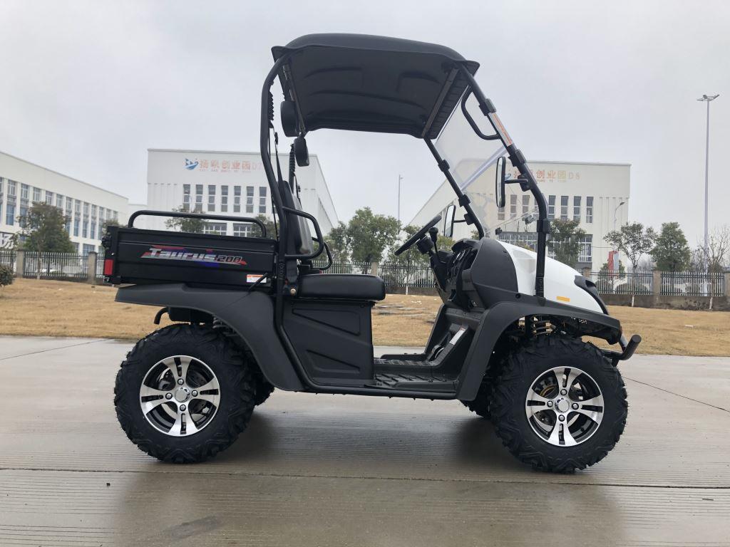 TrailMaster Taurus 200U Gas UTV High/Low Gear-Golf Cart Style UTV, Alloy Wheels