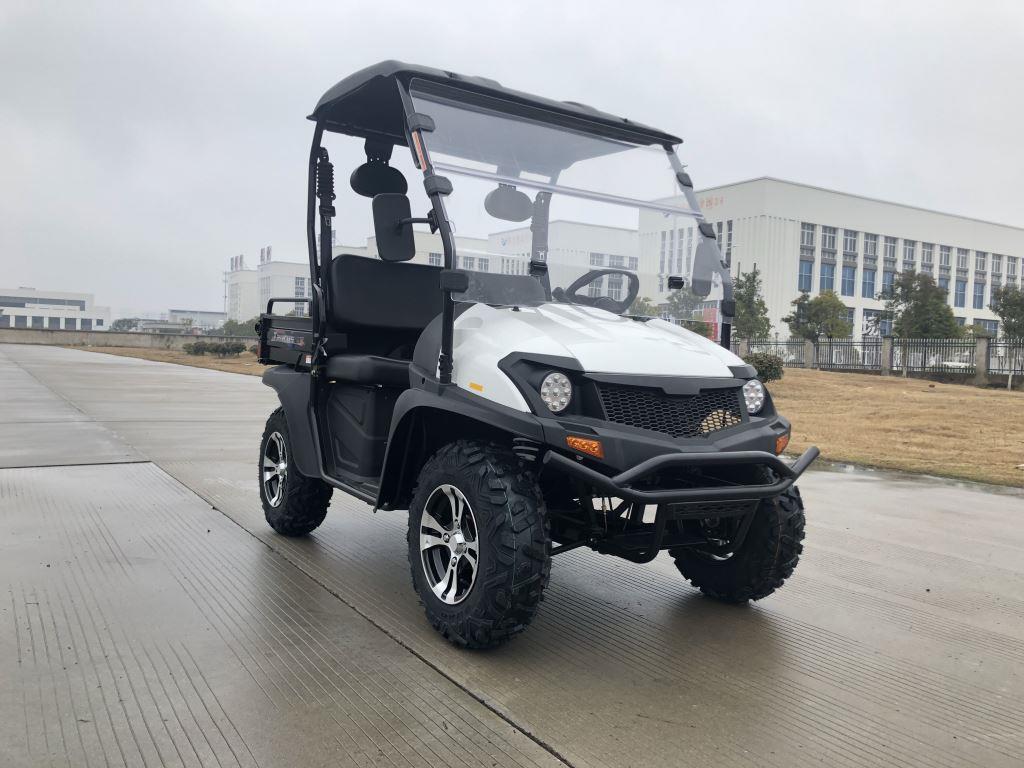 TrailMaster Taurus 200U Gas UTV High/Low Gear-Golf Cart Style UTV, Alloy Wheels