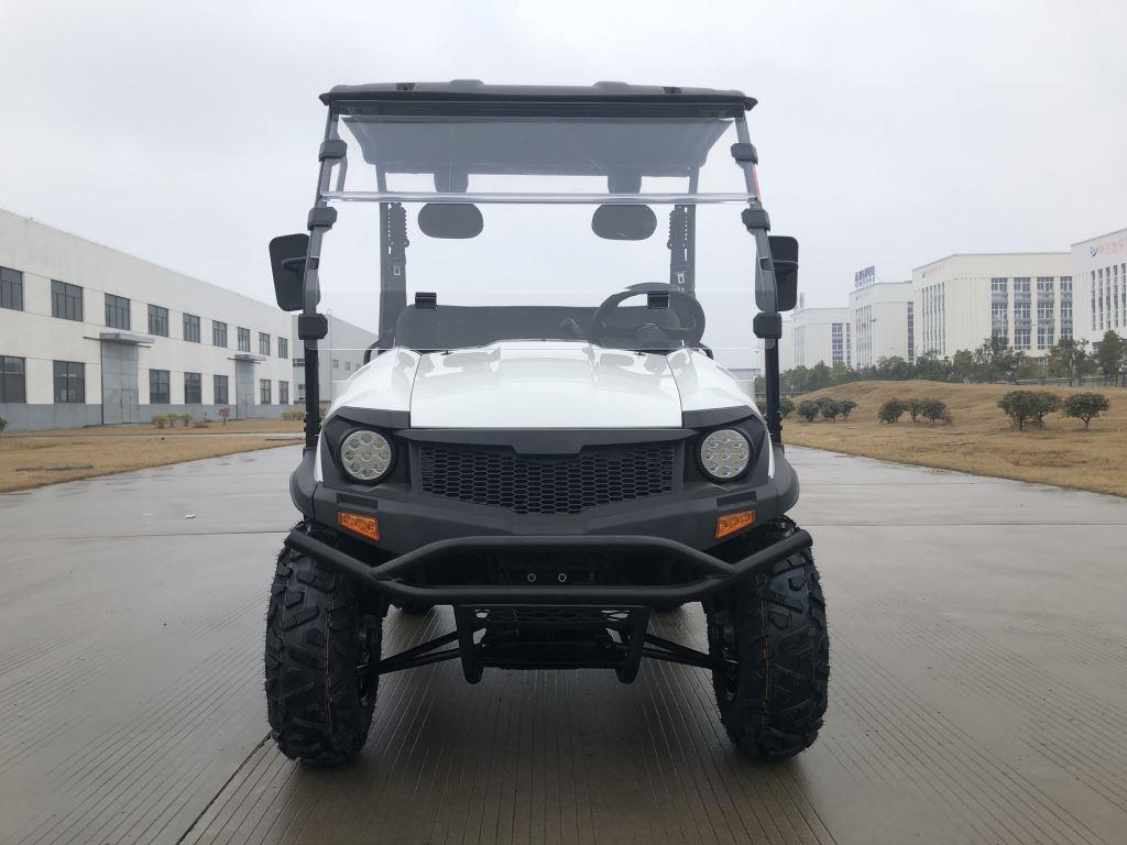 TrailMaster Taurus 200U Gas UTV High/Low Gear-Golf Cart Style UTV, Alloy Wheels