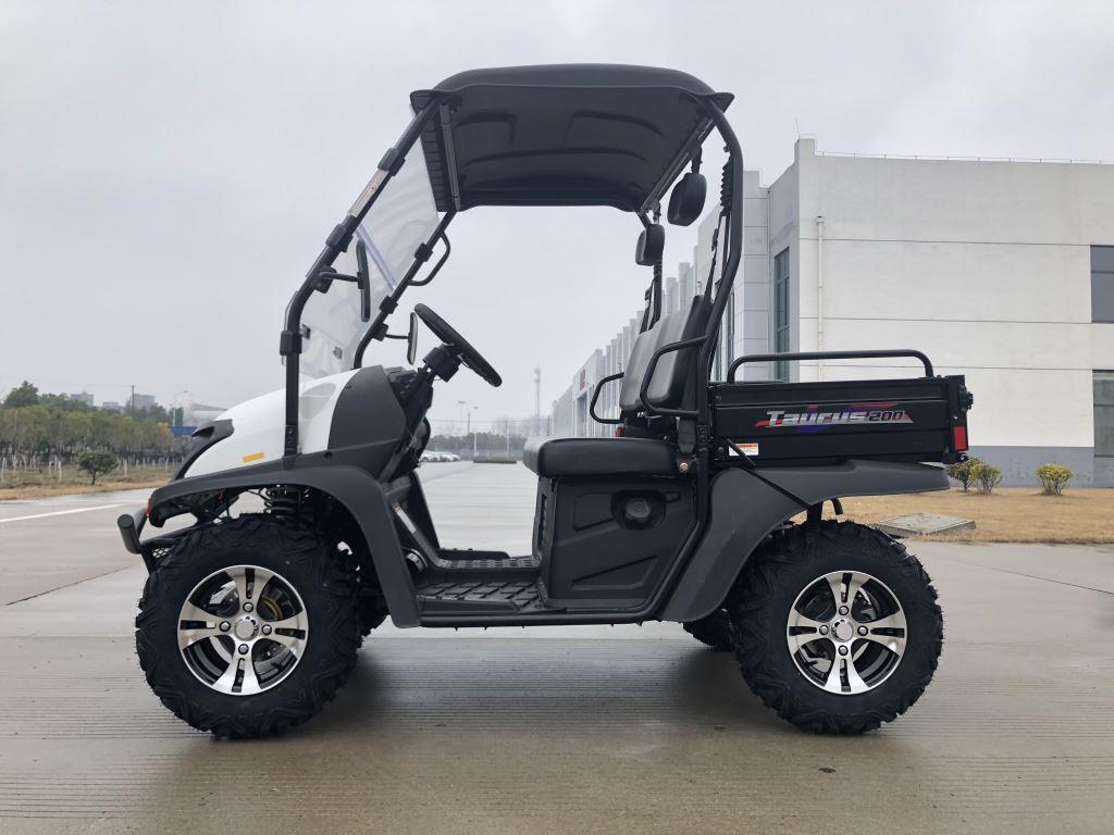 TrailMaster Taurus 200U Gas UTV High/Low Gear-Golf Cart Style UTV, Alloy Wheels