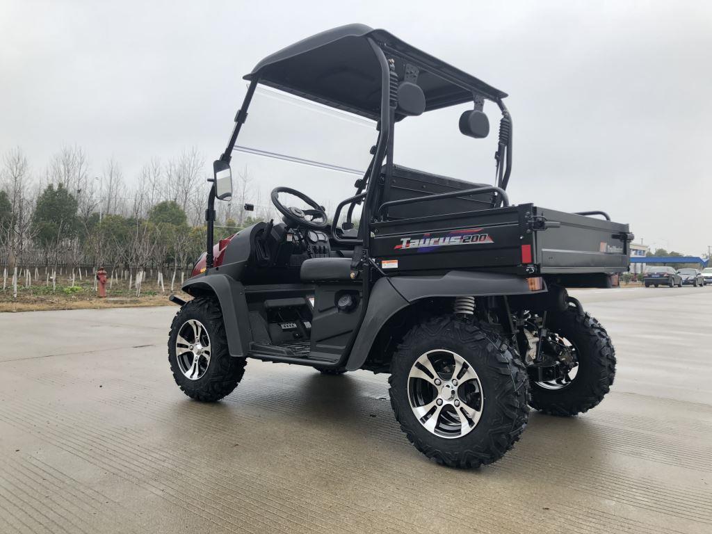 TrailMaster Taurus 200U Gas UTV High/Low Gear-Golf Cart Style UTV, Alloy Wheels