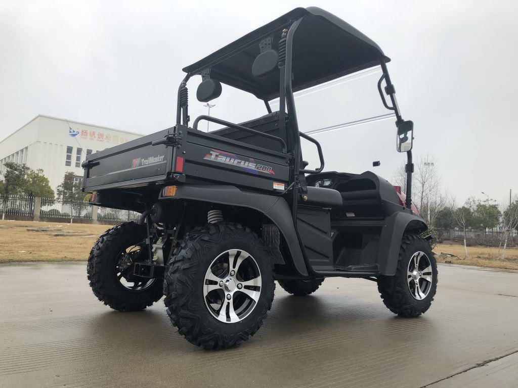 TrailMaster Taurus 200U Gas UTV High/Low Gear-Golf Cart Style UTV, Alloy Wheels