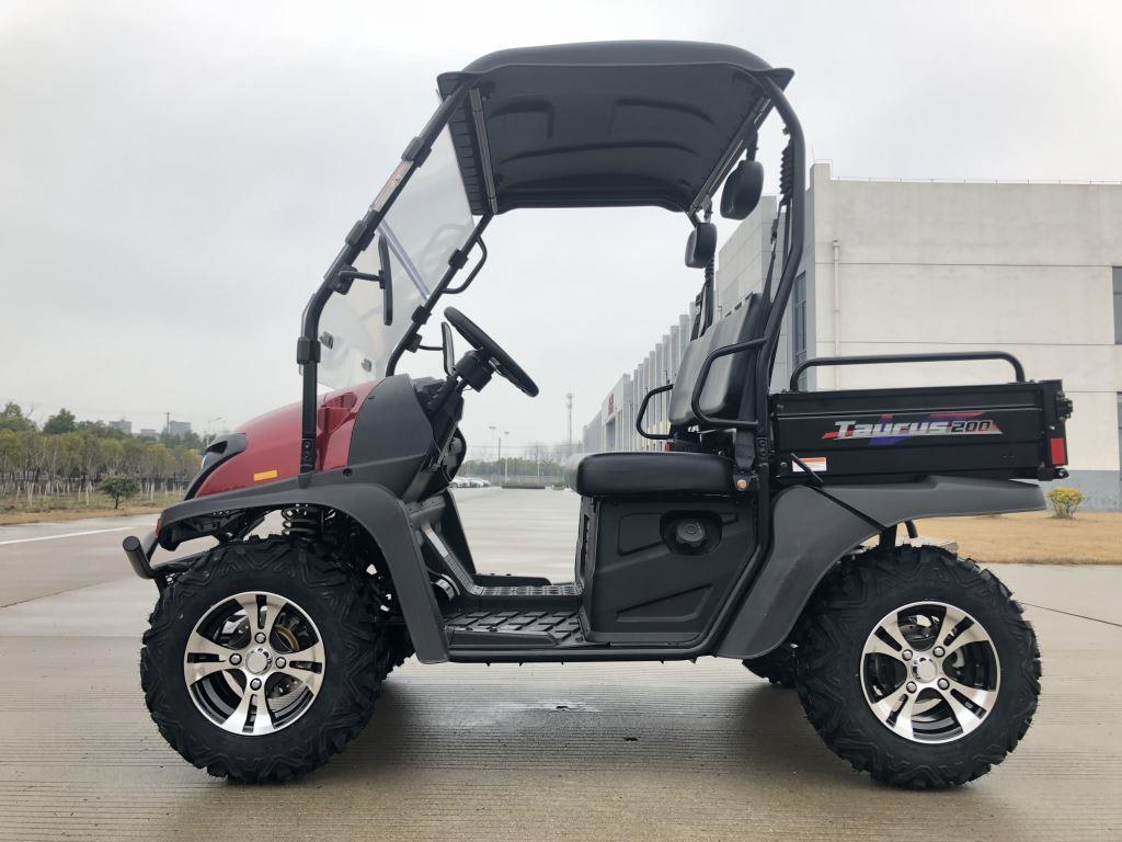 TrailMaster Taurus 200U Gas UTV High/Low Gear-Golf Cart Style UTV, Alloy Wheels