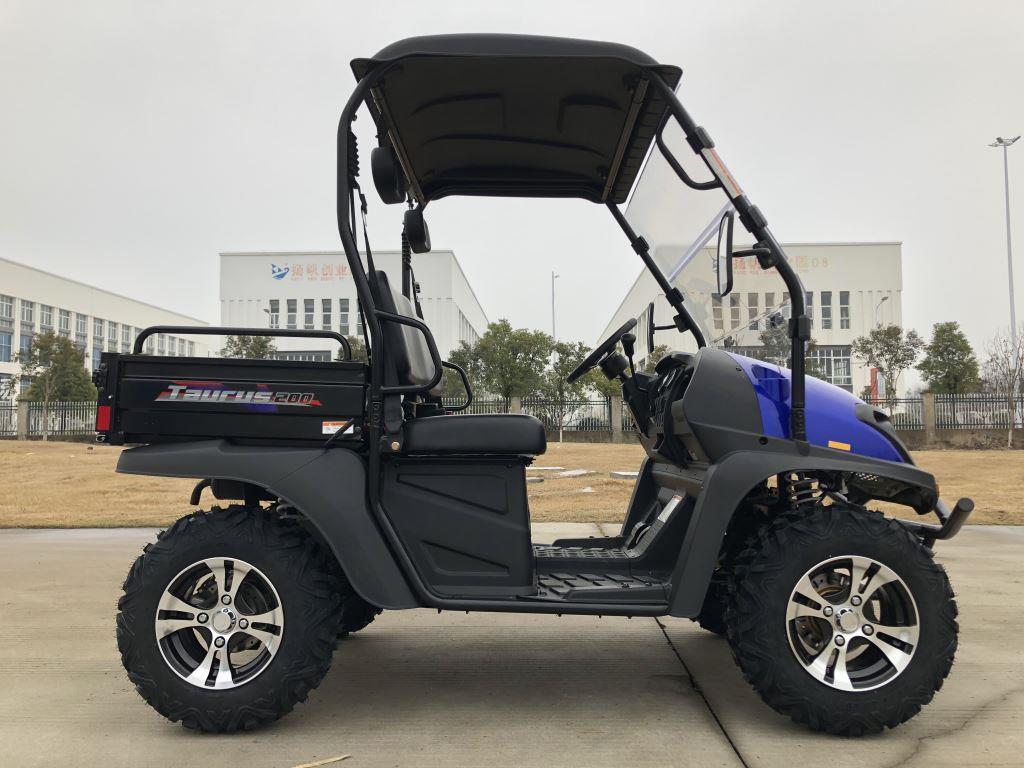 TrailMaster Taurus 200U Gas UTV High/Low Gear-Golf Cart Style UTV, Alloy Wheels