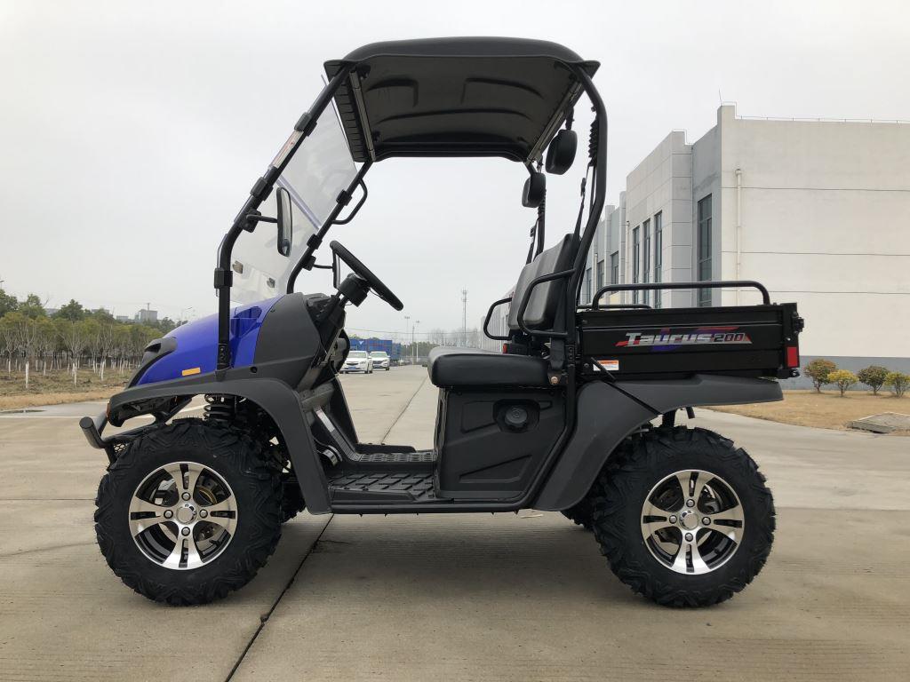 TrailMaster Taurus 200U Gas UTV High/Low Gear-Golf Cart Style UTV, Alloy Wheels