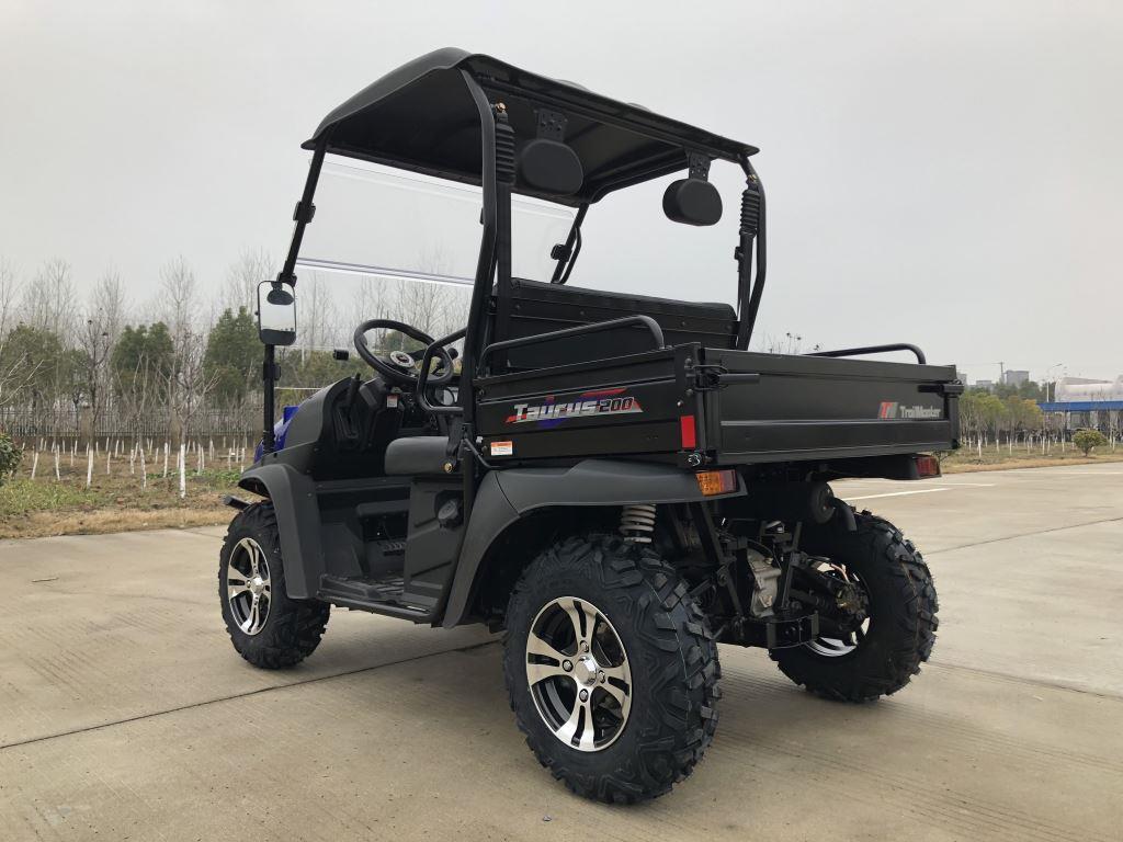 TrailMaster Taurus 200U Gas UTV High/Low Gear-Golf Cart Style UTV, Alloy Wheels