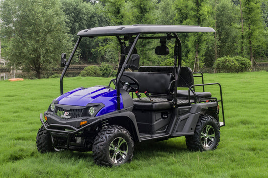 Taurus 450GX Gas Golf Cart, 26hp EFI Engine, 2x4/4x4 H/L Gear with Locking Differential