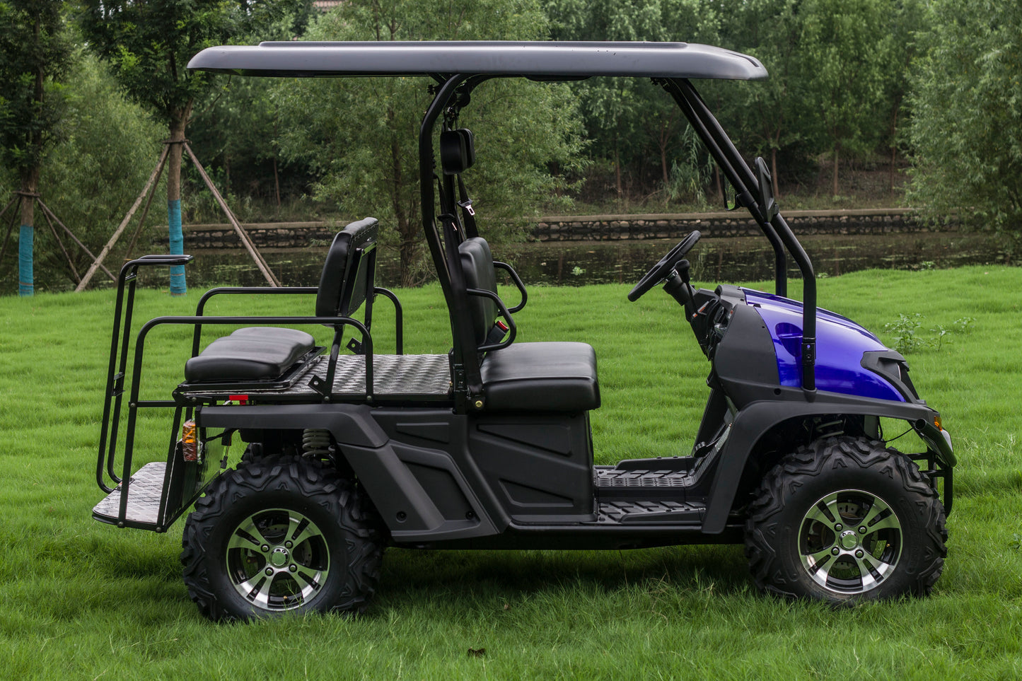 Taurus 450GX Gas Golf Cart, 26hp EFI Engine, 2x4/4x4 H/L Gear with Locking Differential