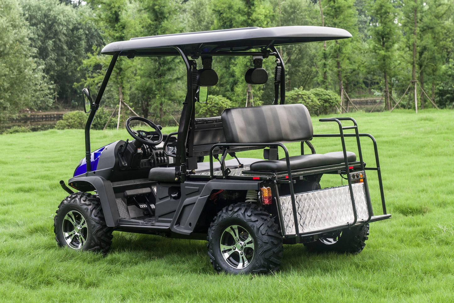 TrailMaster Taurus 450GX Gas Golf Cart, 26hp EFI Engine, 2x4/4x4 H/L Gear with Locking Differential