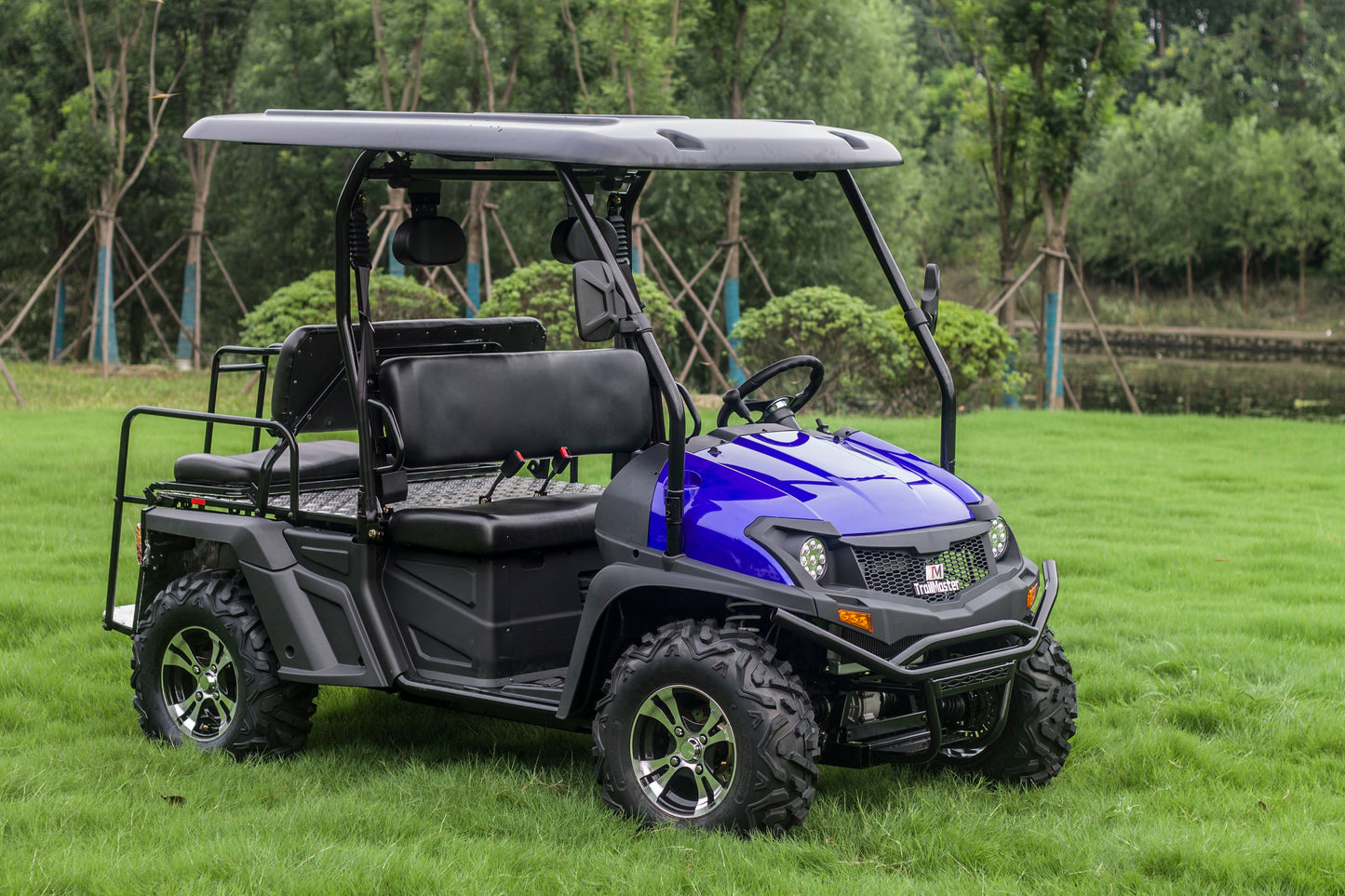 Taurus 450GX Gas Golf Cart, 26hp EFI Engine, 2x4/4x4 H/L Gear with Locking Differential
