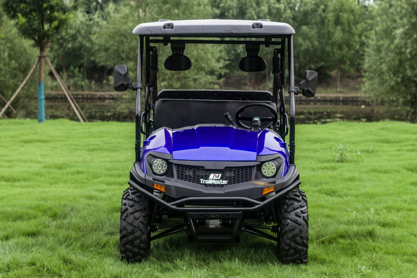 Taurus 450GX Gas Golf Cart, 26hp EFI Engine, 2x4/4x4 H/L Gear with Locking Differential