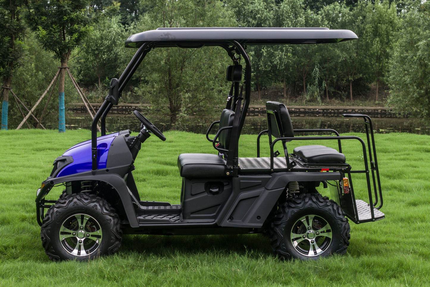 Taurus 450GX Gas Golf Cart, 26hp EFI Engine, 2x4/4x4 H/L Gear with Locking Differential
