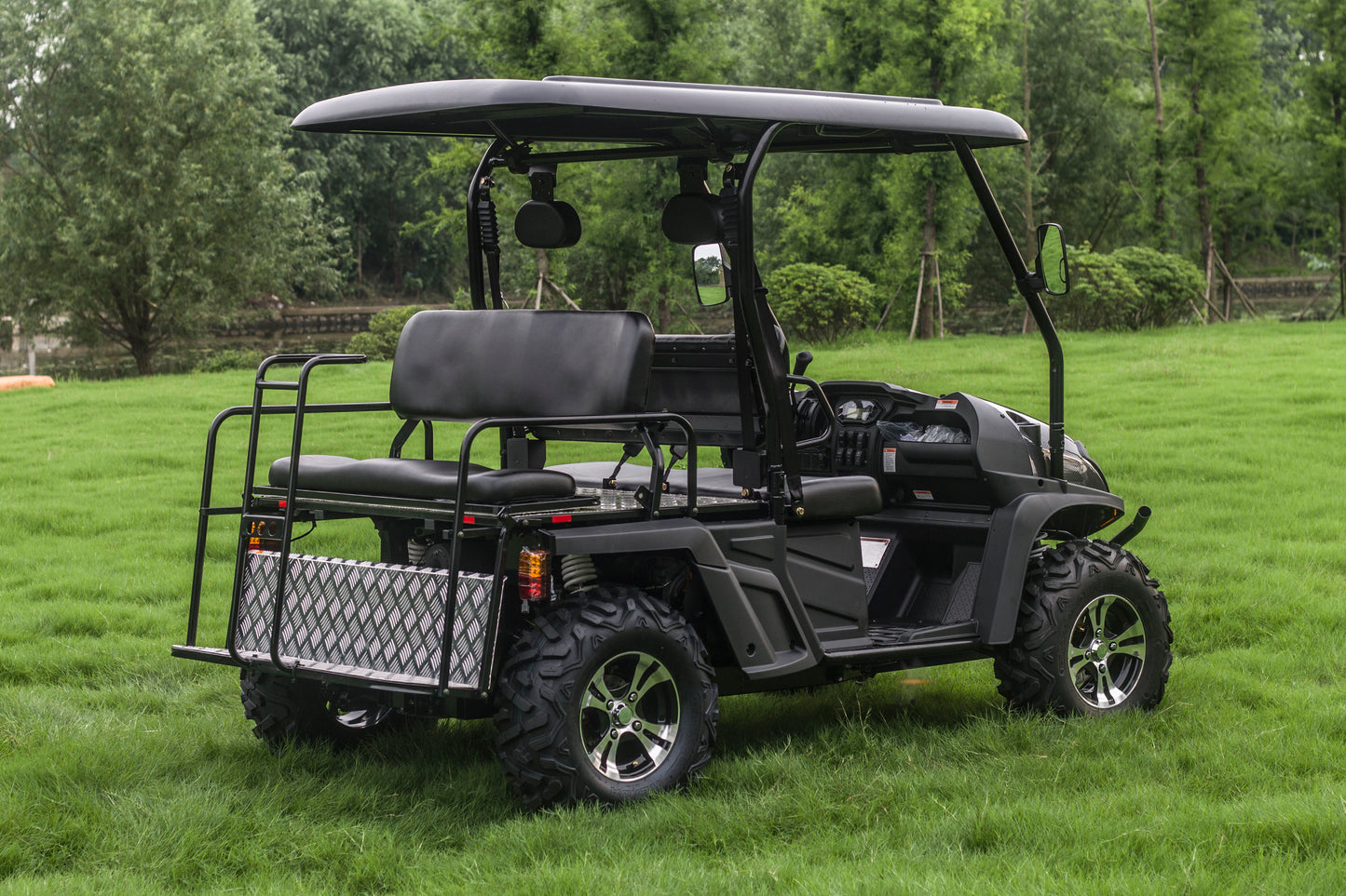 Taurus 450GX Gas Golf Cart, 26hp EFI Engine, 2x4/4x4 H/L Gear with Locking Differential