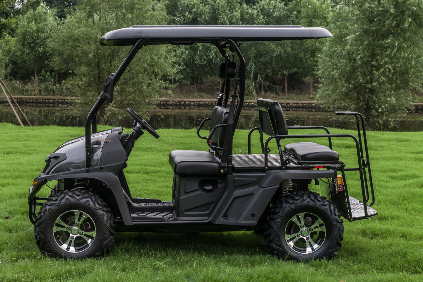 Taurus 450GX Gas Golf Cart, 26hp EFI Engine, 2x4/4x4 H/L Gear with Locking Differential