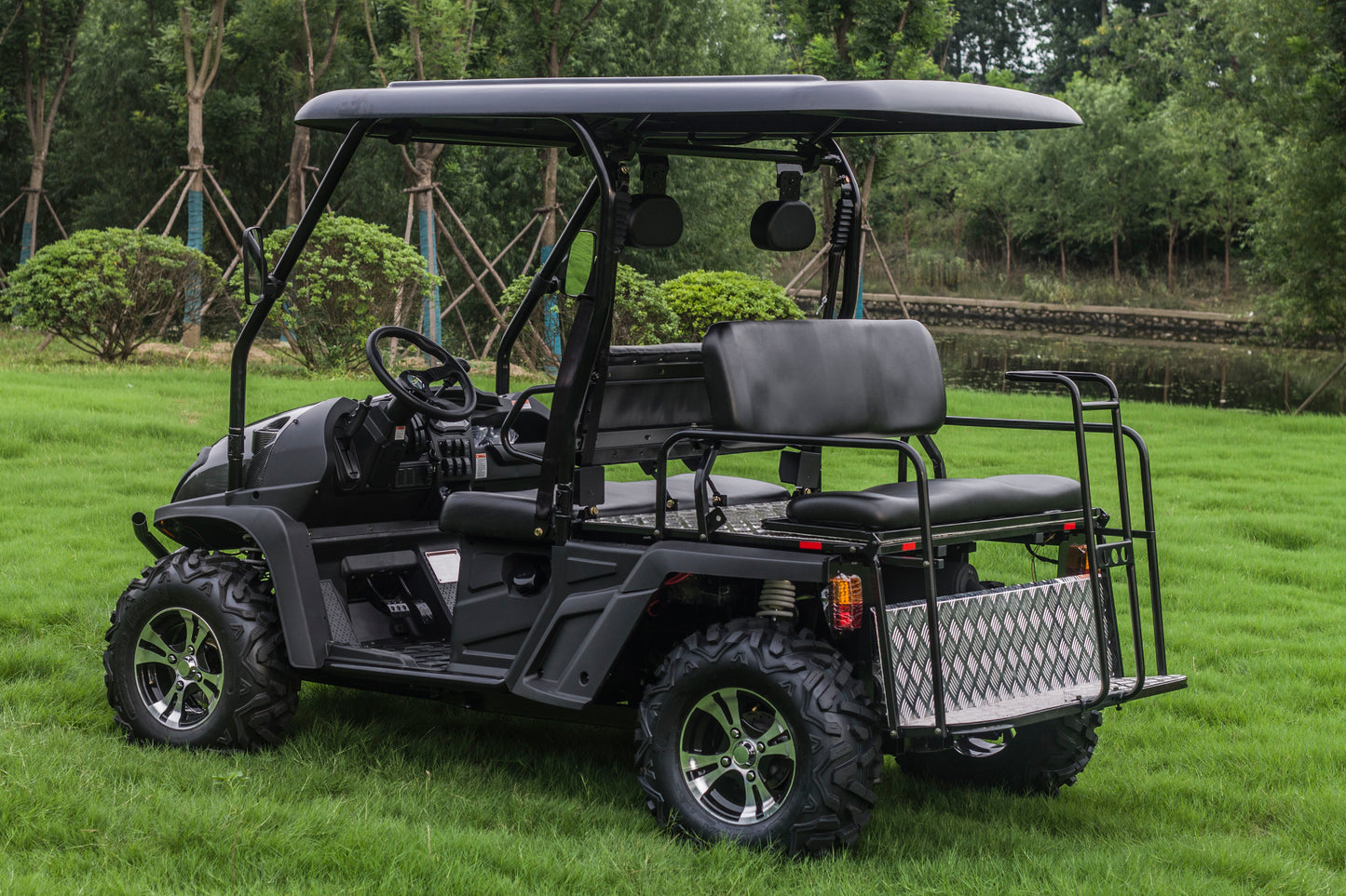 Taurus 450GX Gas Golf Cart, 26hp EFI Engine, 2x4/4x4 H/L Gear with Locking Differential