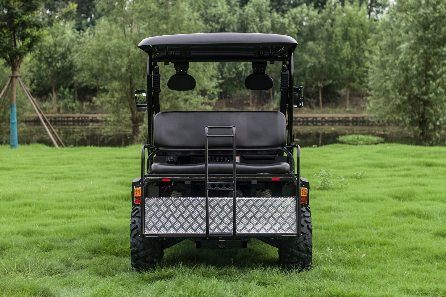 Taurus 450GX Gas Golf Cart, 26hp EFI Engine, 2x4/4x4 H/L Gear with Locking Differential