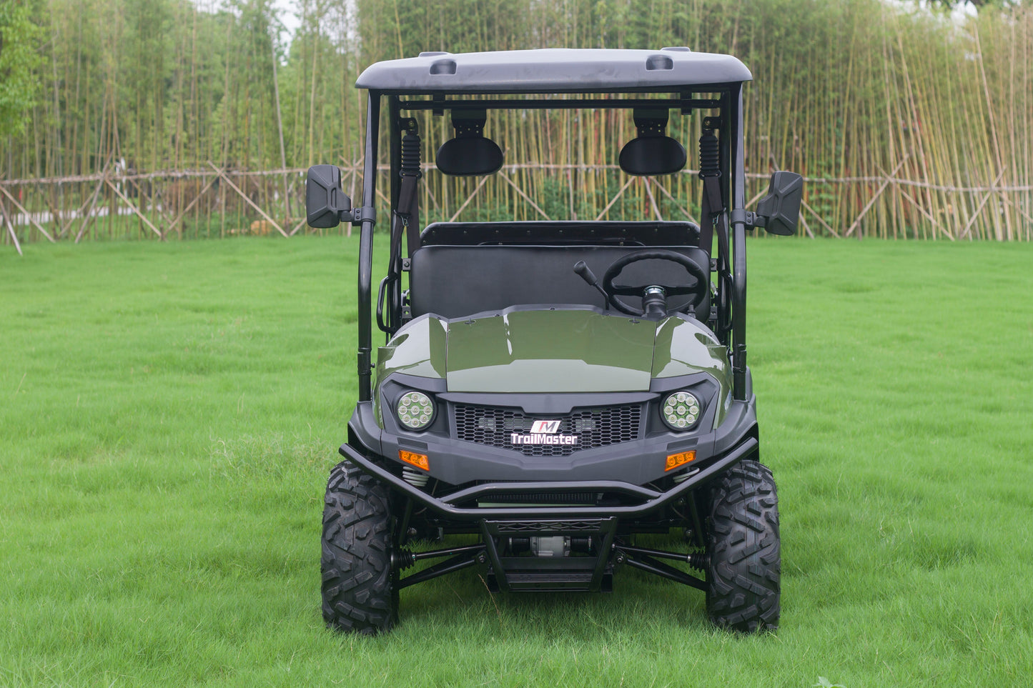 Taurus 450GX Gas Golf Cart, 26hp EFI Engine, 2x4/4x4 H/L Gear with Locking Differential