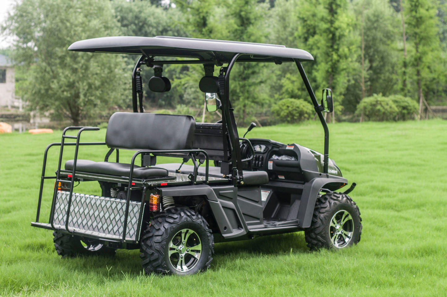 Taurus 450GX Gas Golf Cart, 26hp EFI Engine, 2x4/4x4 H/L Gear with Locking Differential