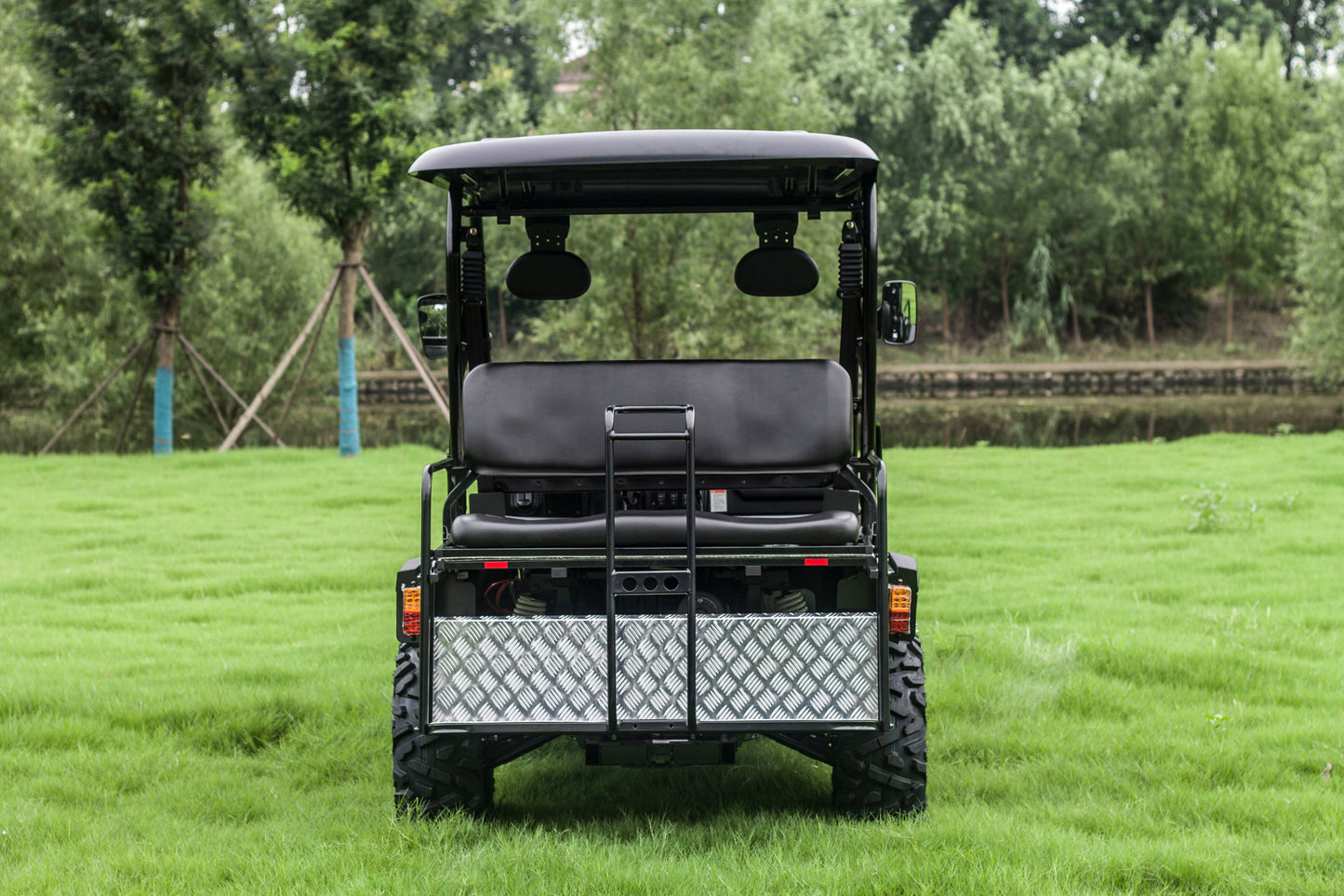 Taurus 450GX Gas Golf Cart, 26hp EFI Engine, 2x4/4x4 H/L Gear with Locking Differential