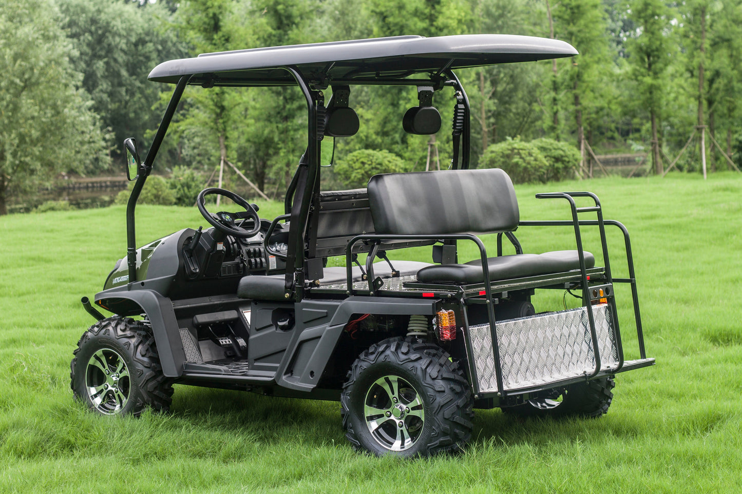 Taurus 450GX Gas Golf Cart, 26hp EFI Engine, 2x4/4x4 H/L Gear with Locking Differential