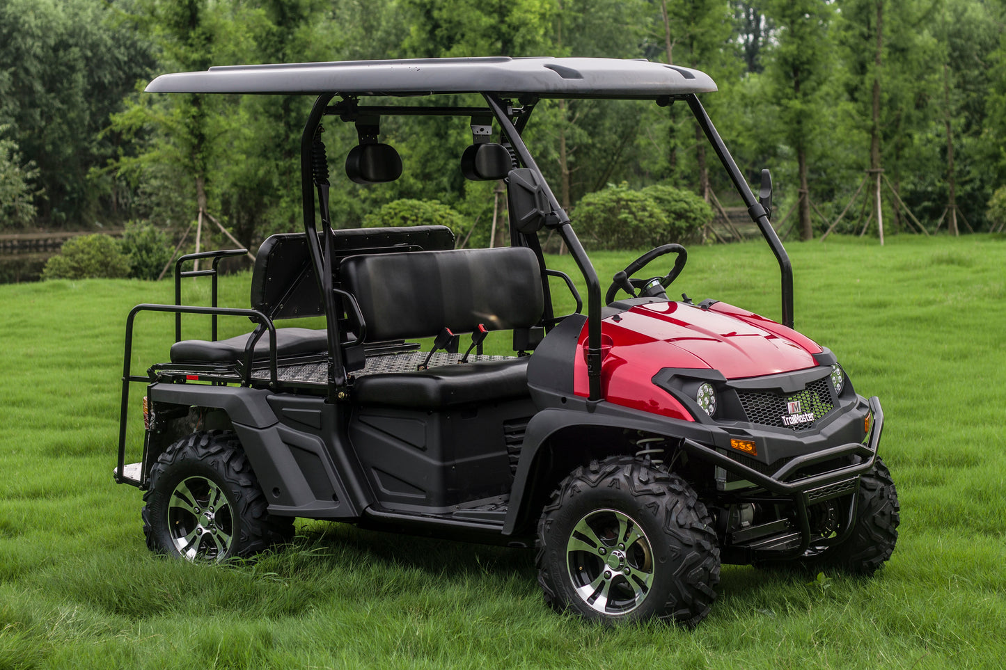 Taurus 450GX Gas Golf Cart, 26hp EFI Engine, 2x4/4x4 H/L Gear with Locking Differential