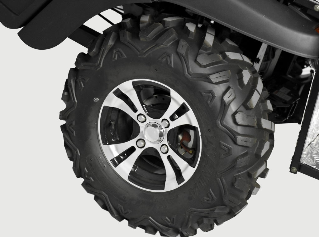 Taurus 450GX Gas Golf Cart, 26hp EFI Engine, 2x4/4x4 H/L Gear with Locking Differential