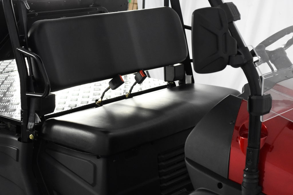 TrailMaster Taurus 450GX Gas Golf Cart, 26hp EFI Engine, 2x4/4x4 H/L Gear with Locking Differential