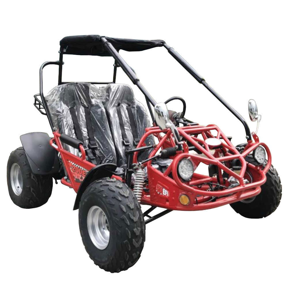 200E XRS EFI Buggy Go Kart CVT Auto with Reverse