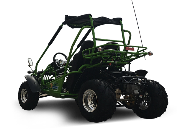 200E XRS EFI Buggy Go Kart CVT Auto with Reverse