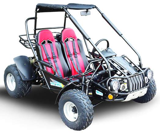 300E XRS (EFI) Dune Buggy Go Kart, Liquid Cooled, Chain Drive