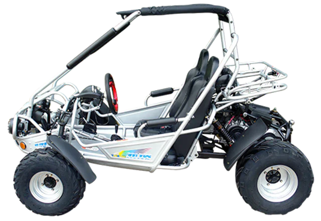 300E XRS (EFI) Dune Buggy Go Kart, Liquid Cooled, Chain Drive