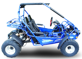 300E XRS (EFI) Dune Buggy Go Kart, Liquid Cooled, Chain Drive
