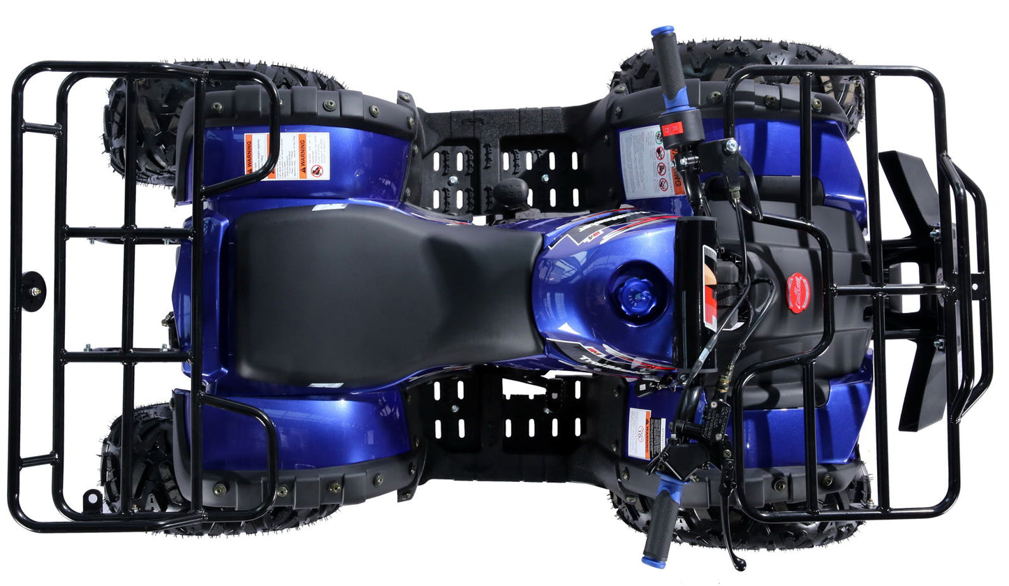 B125 125cc Utility ATV, Automatic with Reverse, 8-inch Wheels, Ages 12+