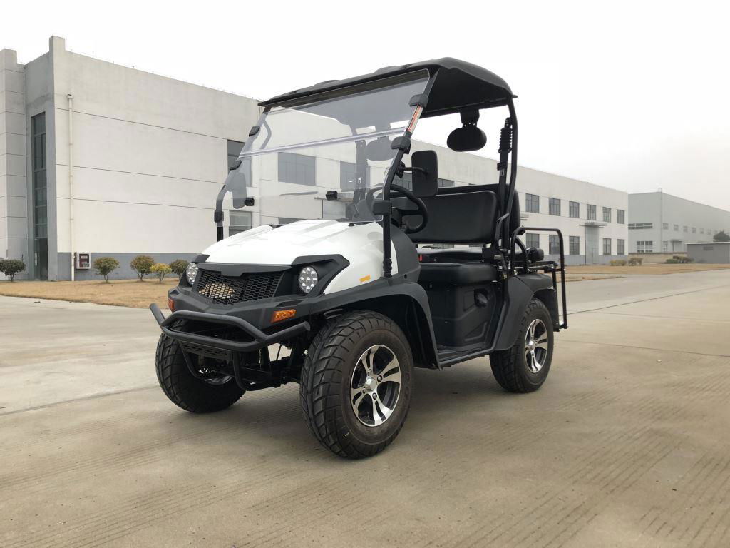 TrailMaster Taurus 200GX UTV Gas Golf Cart, Full Length Roof, 4-Seat, DOT Approved