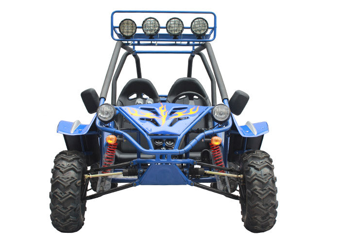 Commander 200 Buggy Go Kart, Electric Start, Automatic with Reverse, Ages 16 and up