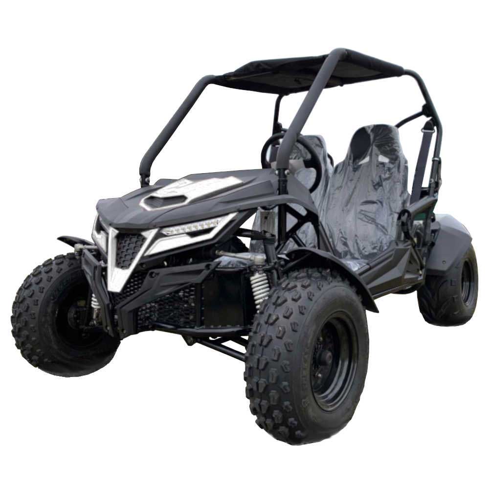 Cheetah 200 Full Size Buggy Go Kart, CVT Automatic with Reverse